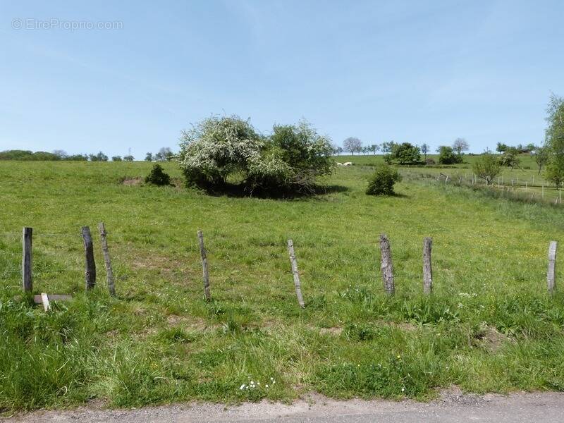 Terrain à SARRE-UNION