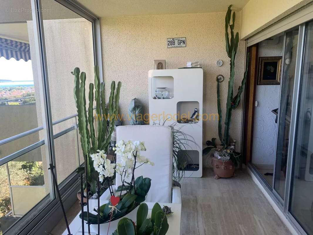 Appartement à VILLENEUVE-LOUBET