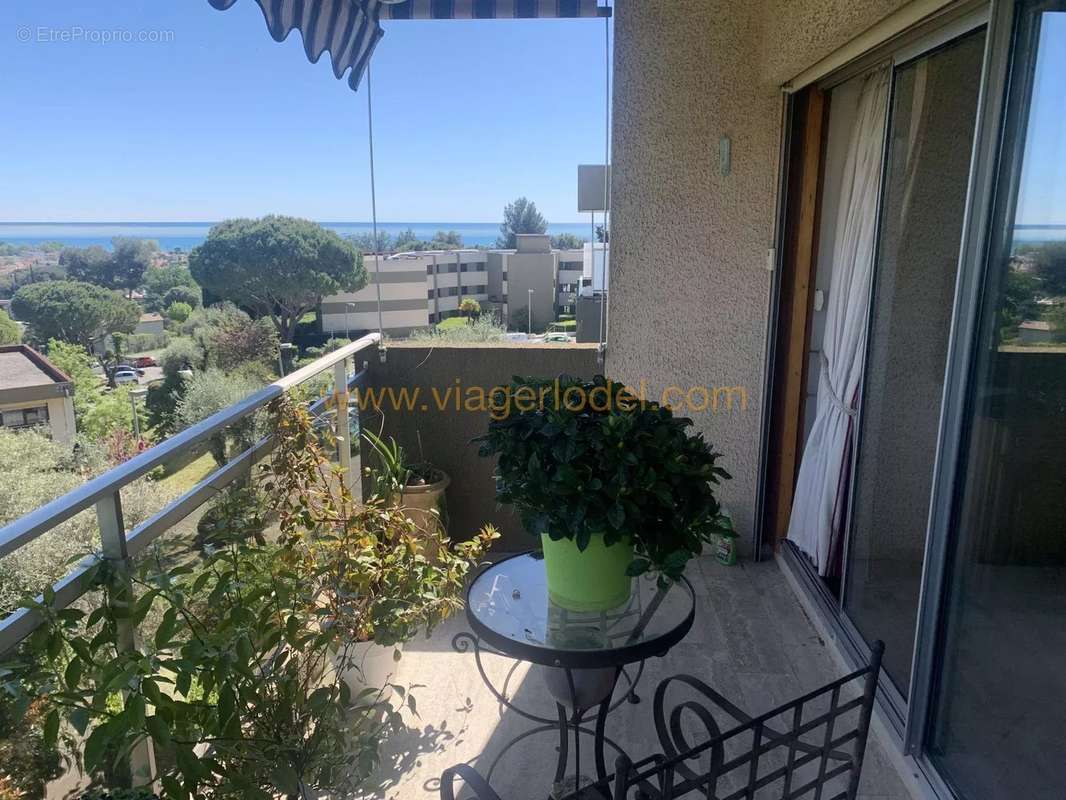 Appartement à VILLENEUVE-LOUBET