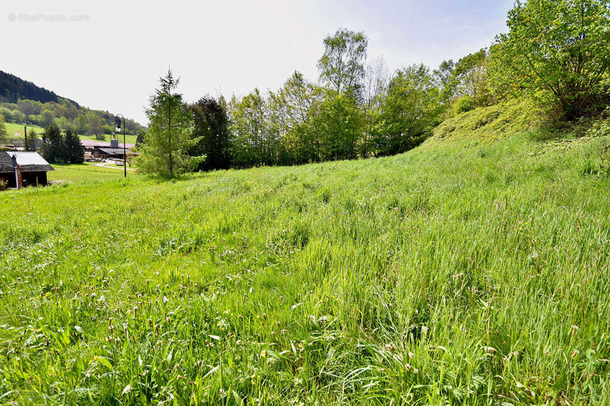 Terrain à LUSSE