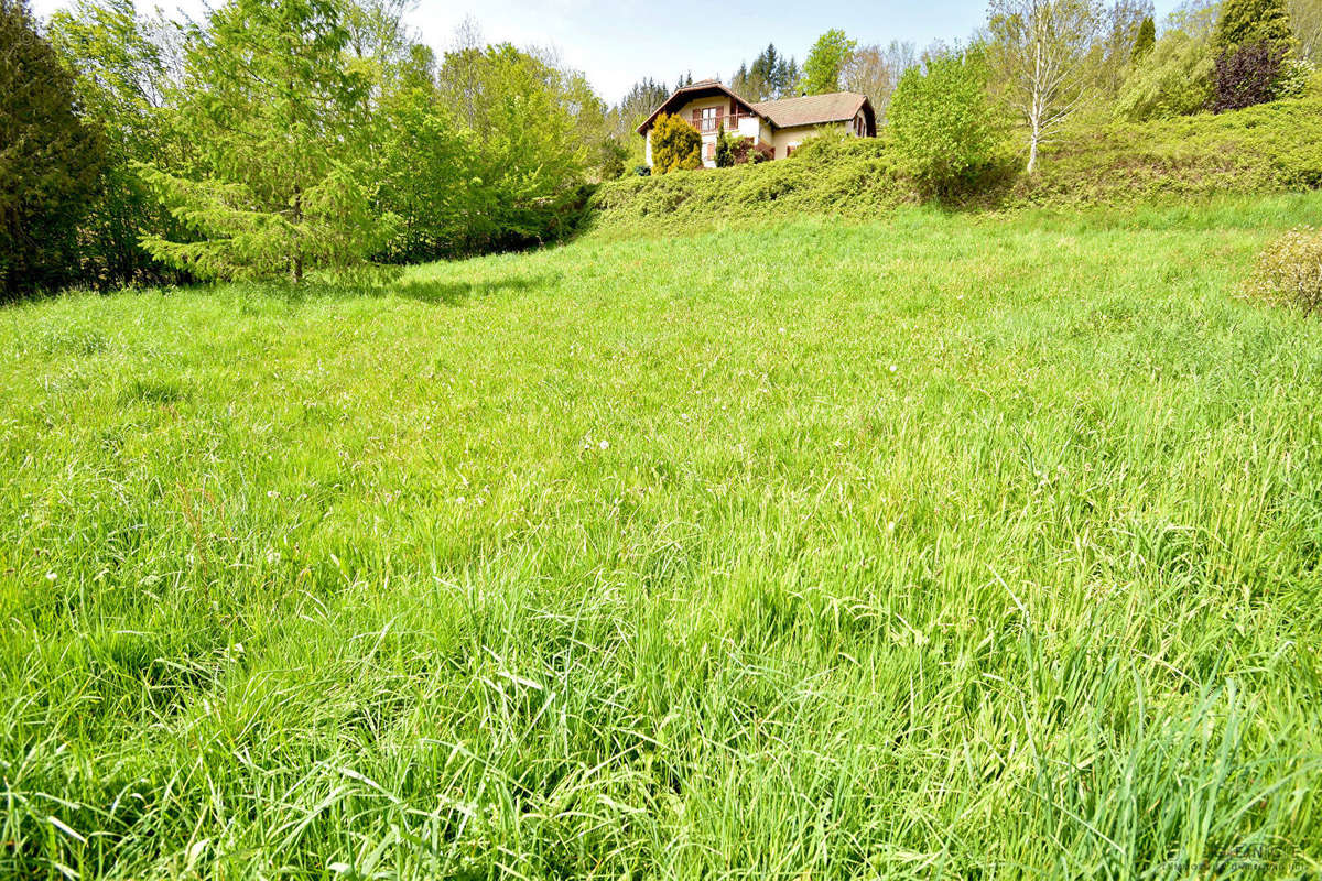 Terrain à LUSSE