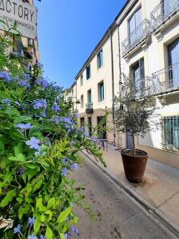 Appartement à MONTPELLIER