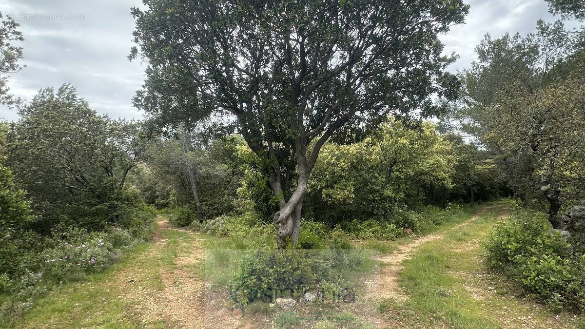 Terrain à ARPAILLARGUES-ET-AUREILLAC