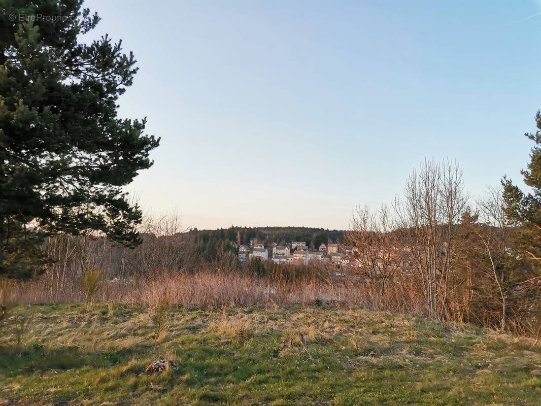 Terrain à LE CHAMBON-SUR-LIGNON