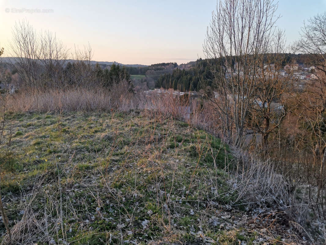 Terrain à LE CHAMBON-SUR-LIGNON