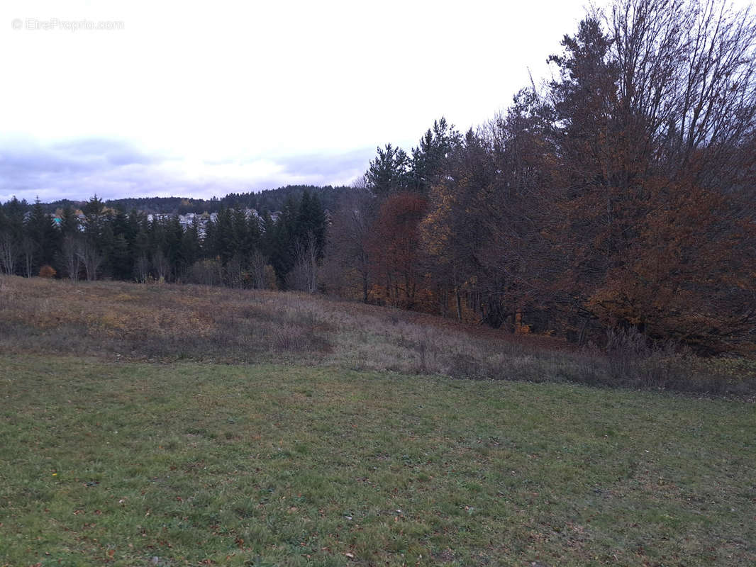 Terrain à LE CHAMBON-SUR-LIGNON