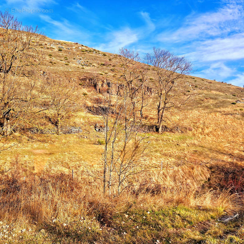 Terrain à LE MONASTIER-SUR-GAZEILLE