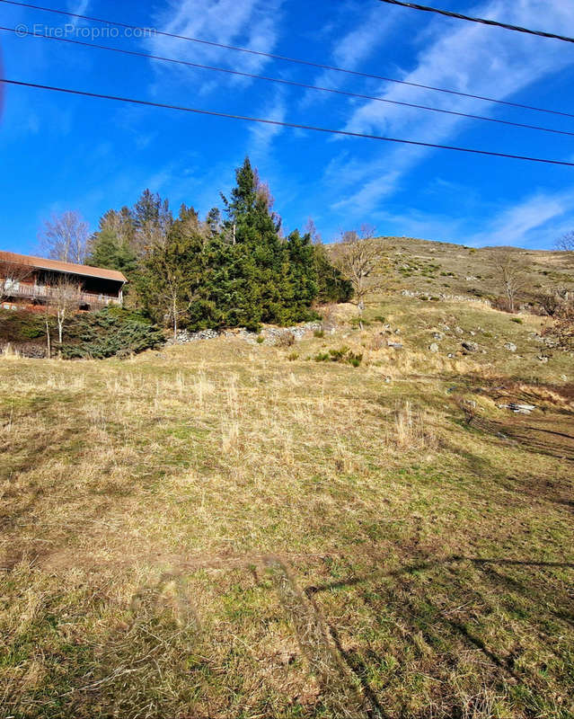 Terrain à LE MONASTIER-SUR-GAZEILLE