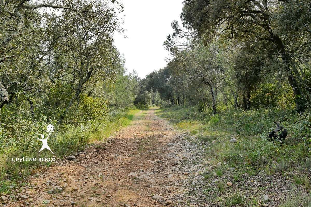 Terrain à GALARGUES