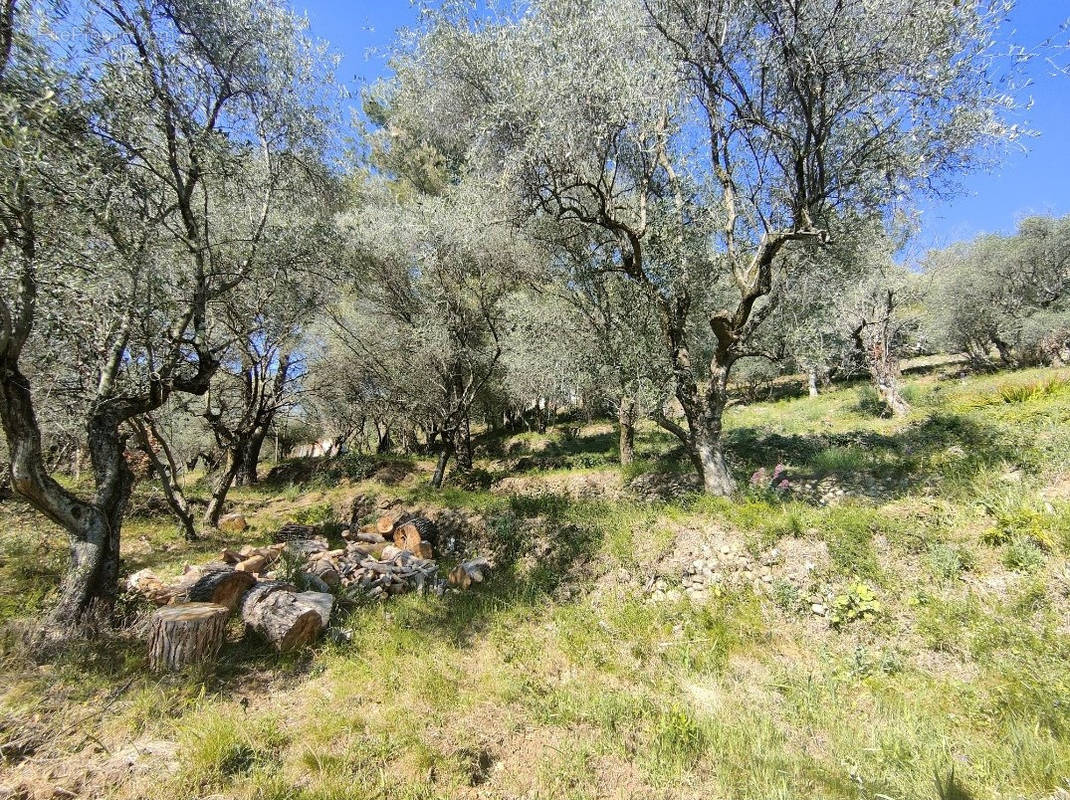 Terrain à SAINT-MARTIN-DU-VAR