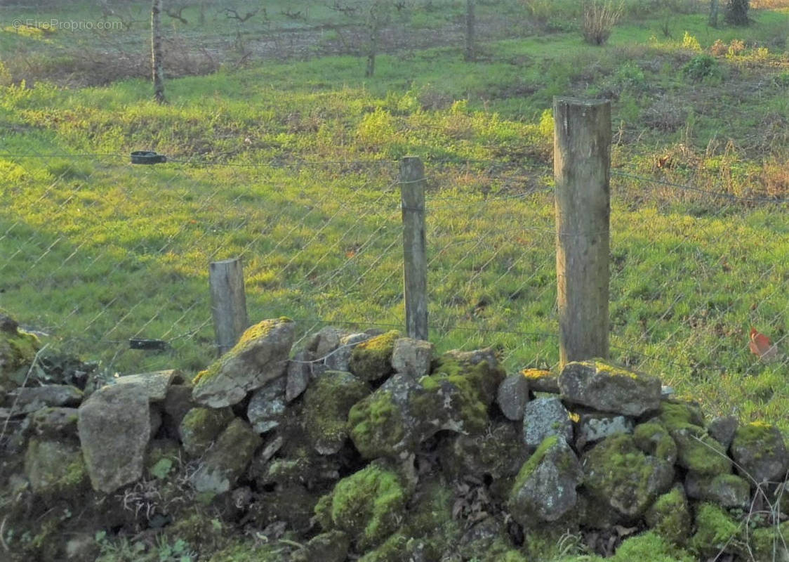 Terrain à FRESSINES