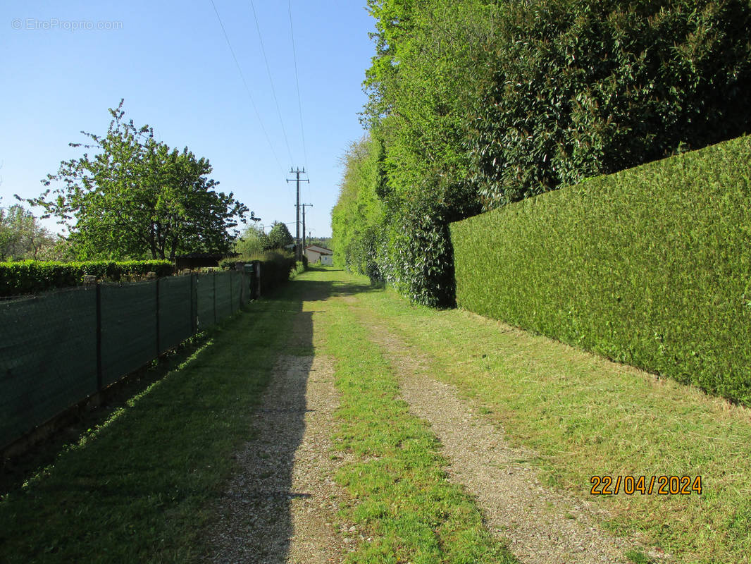 Terrain à COUHE