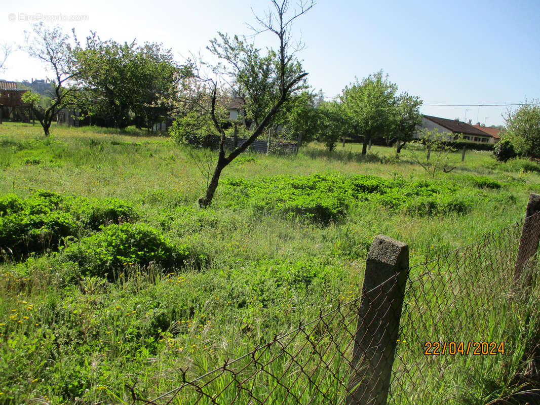 Terrain à COUHE