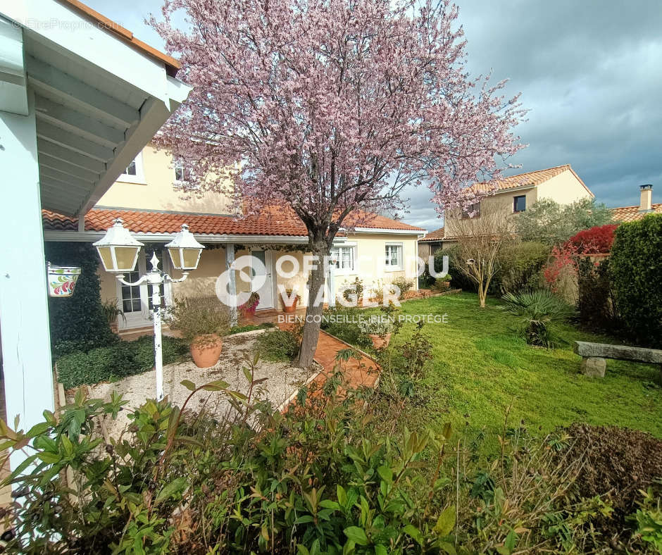 Maison à TOURNEFEUILLE