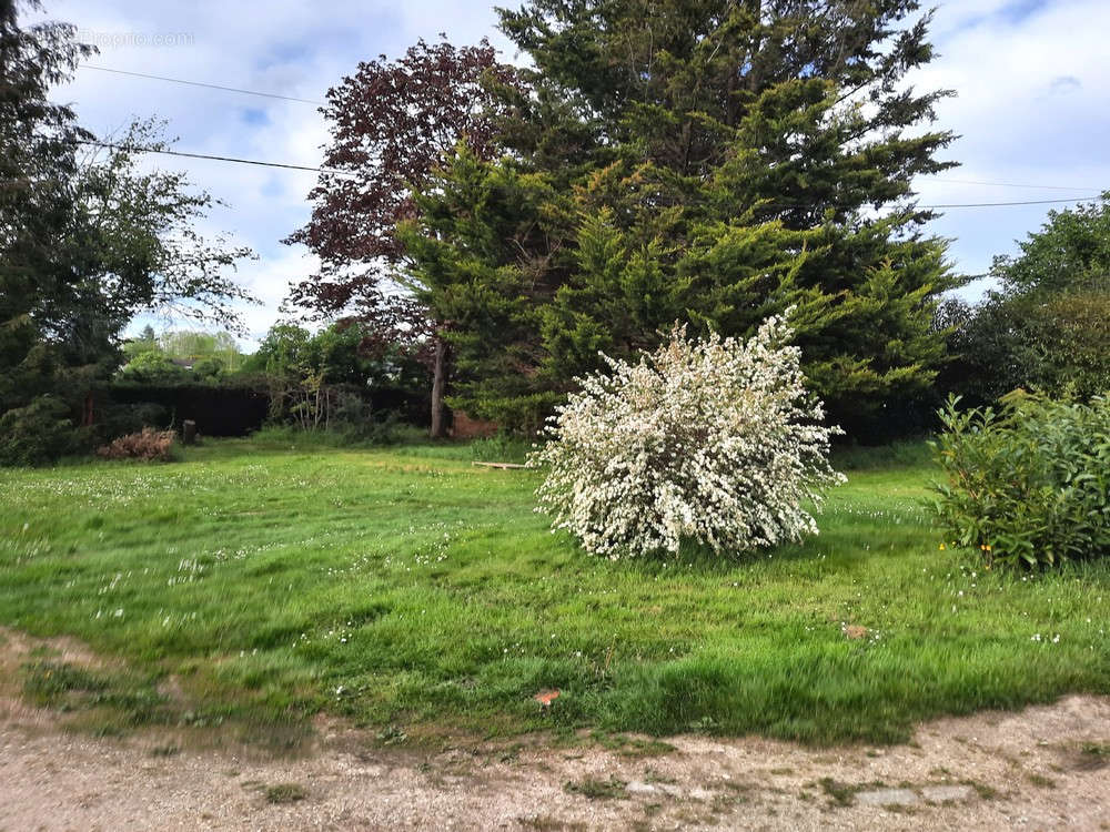 Terrain à SAINT-PIERRE-LES-ELBEUF