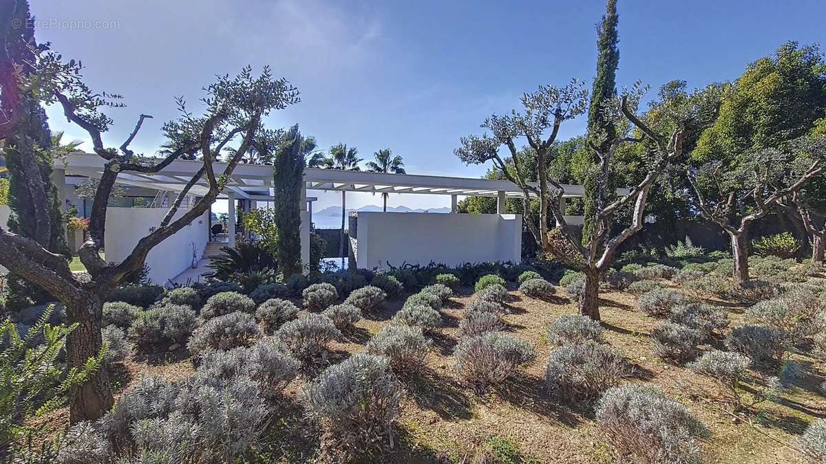 Maison à CANNES