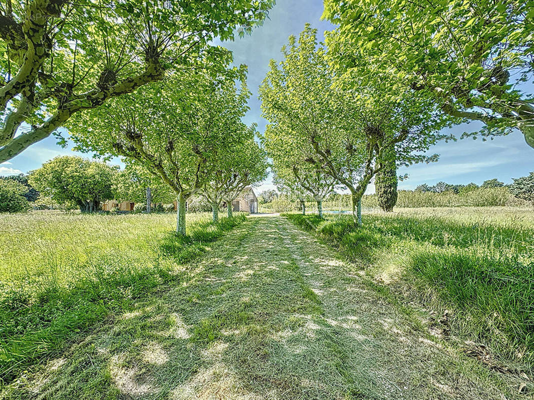 Maison à CHEVAL-BLANC