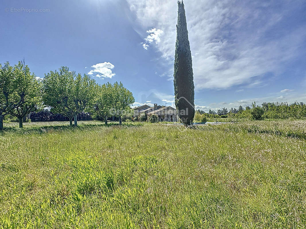 Maison à CHEVAL-BLANC