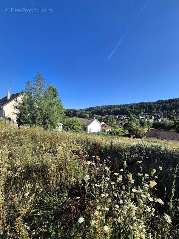 Vue dégagée Sud-Ouest - Terrain à SAVIGNY-LES-BEAUNE