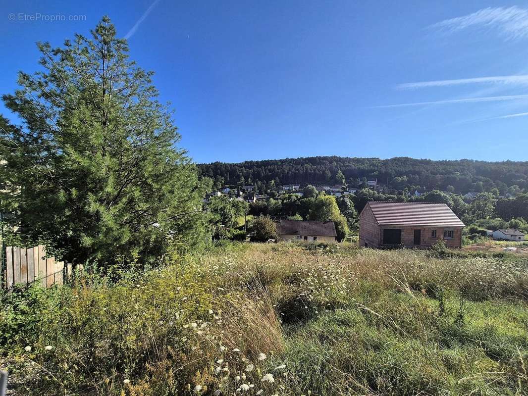 Vue dégagée - Terrain à SAVIGNY-LES-BEAUNE