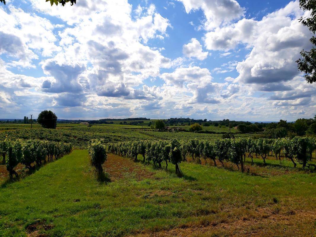 Terrain à CREYSSE