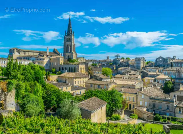 Commerce à SAINT-EMILION