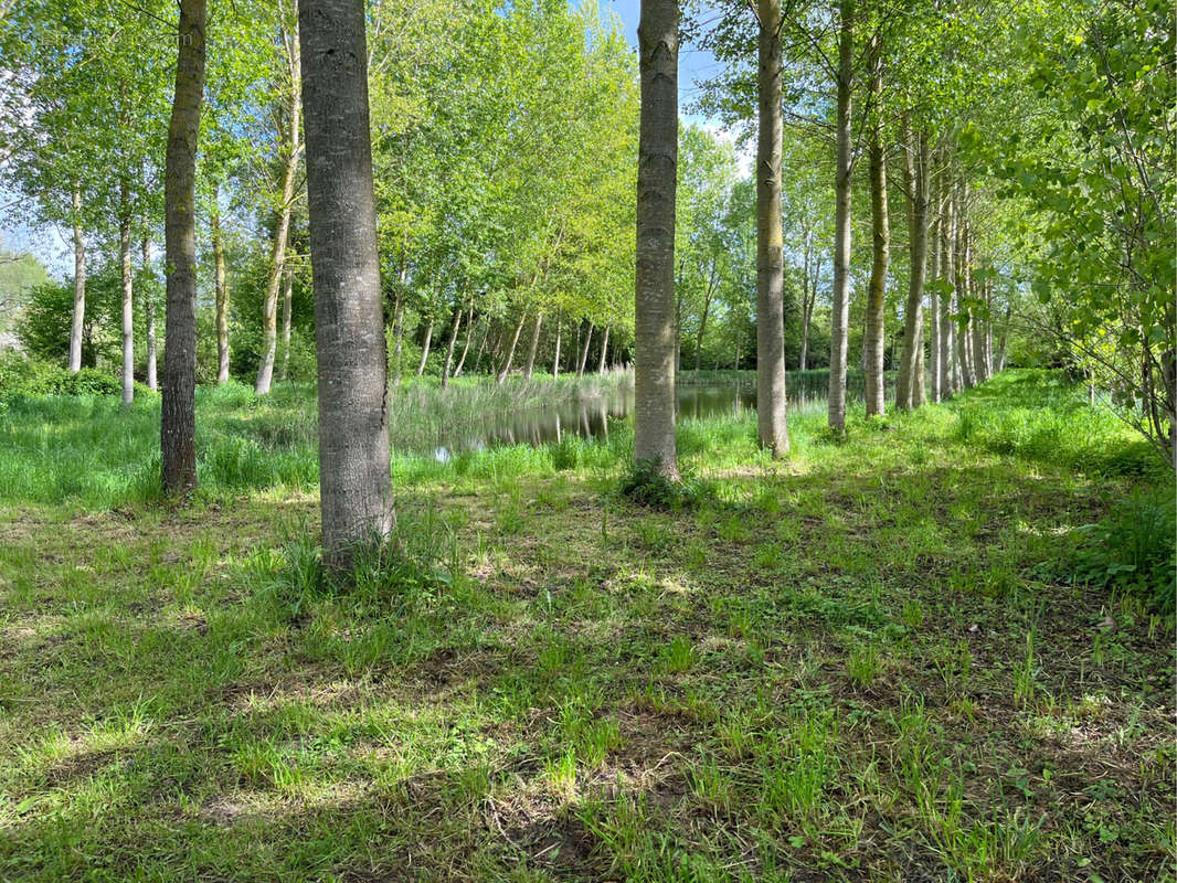 Terrain à LE BREIL-SUR-MERIZE