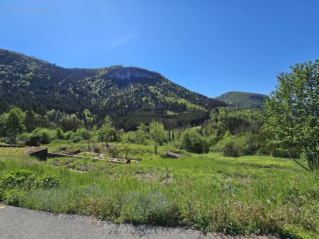 Terrain à SAINT-CLAUDE