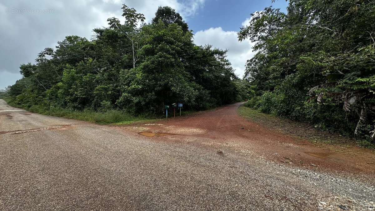 Terrain à CAYENNE