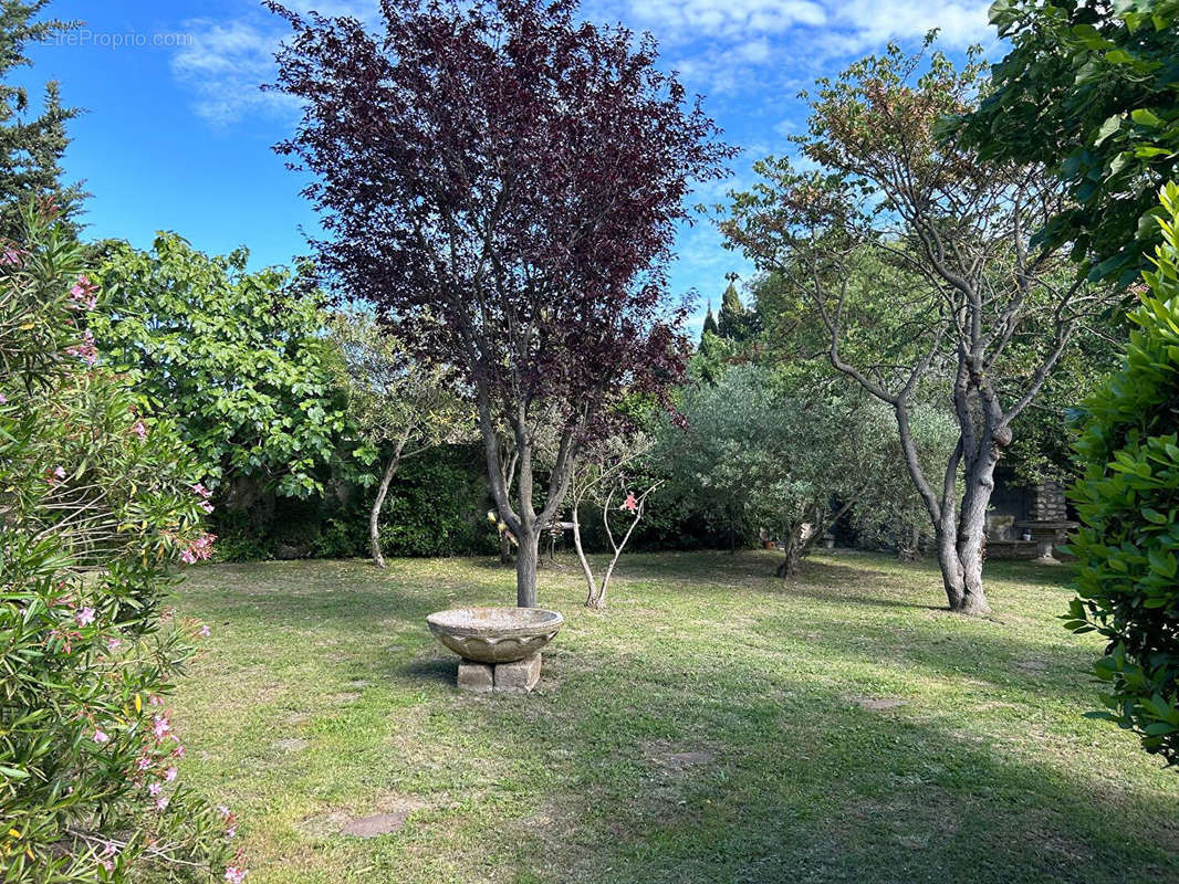 Maison à SAINT-REMY-DE-PROVENCE