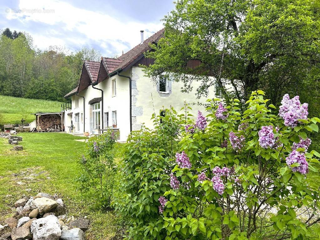 Maison à ALLONZIER-LA-CAILLE