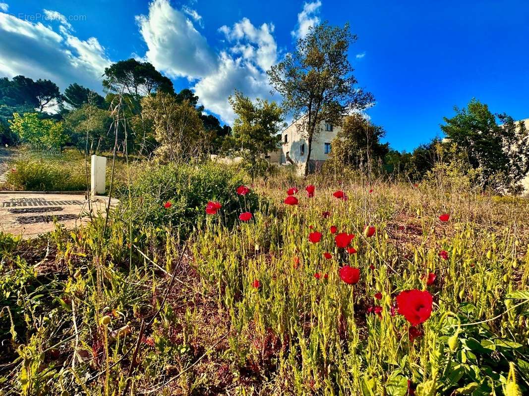 Terrain à PIOLENC