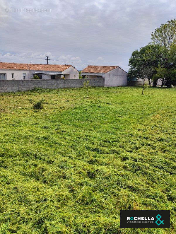 Terrain à SAINT-GEORGES-DES-COTEAUX