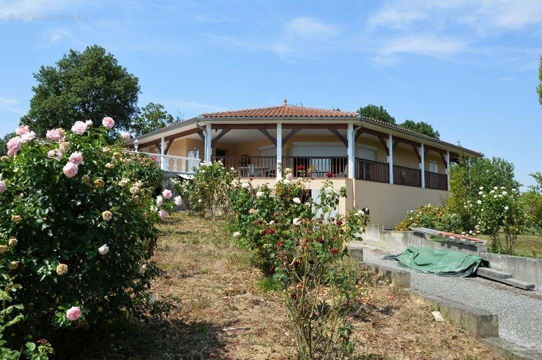 Maison à MASSEUBE