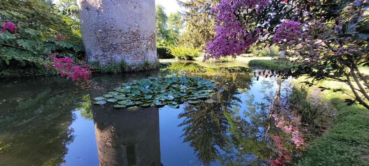 Maison à ROMORANTIN-LANTHENAY