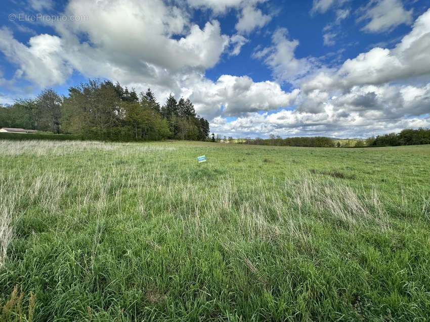 Terrain à LES ANCIZES-COMPS