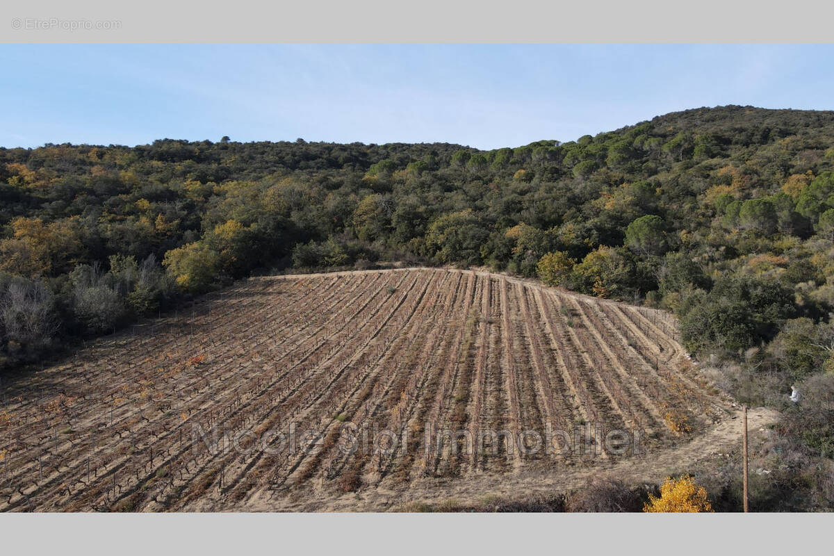 Terrain à LANSAC