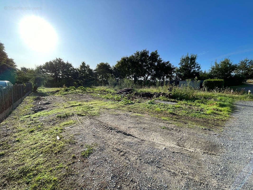 Terrain à SAINT-LEGER-LES-VIGNES