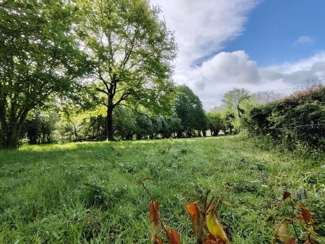 Terrain à GUERET