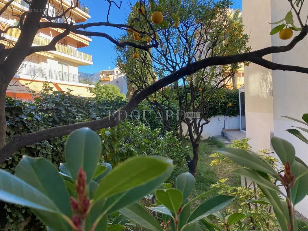 Appartement à ROQUEBRUNE-CAP-MARTIN