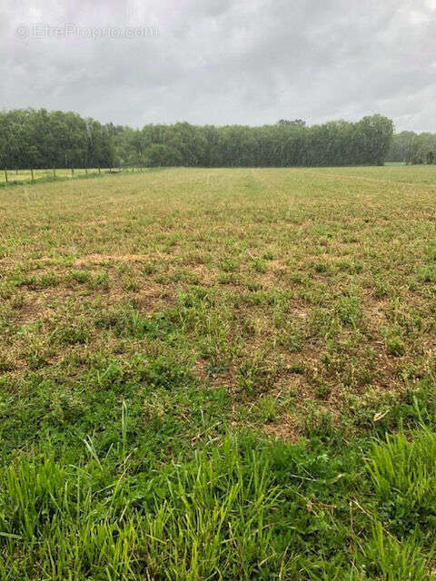 Terrain à CIVAUX