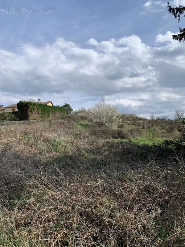 Terrain à VIEILLE-BRIOUDE