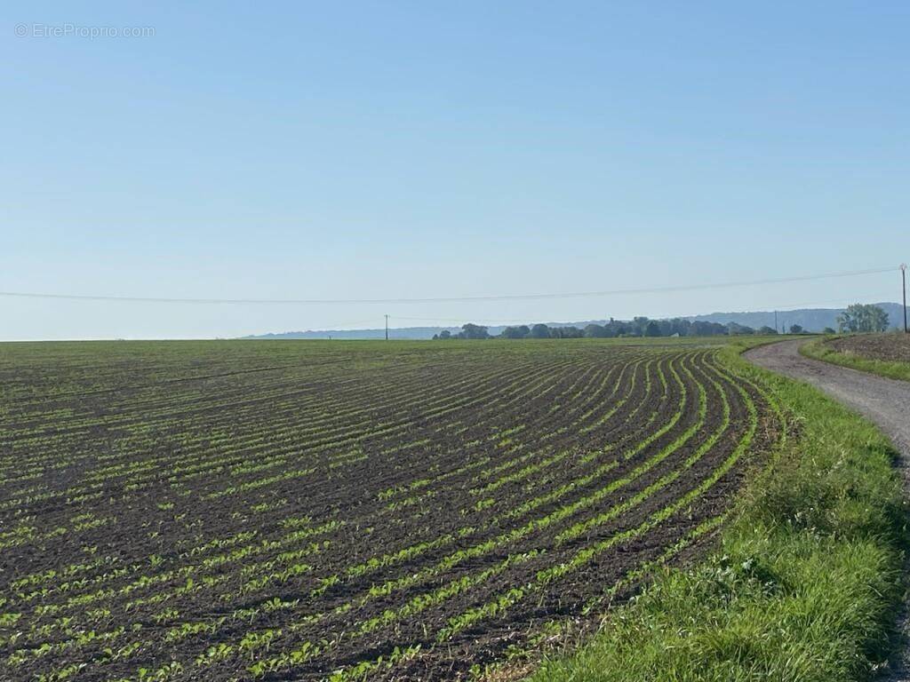 Terrain à SAINS-EN-GOHELLE