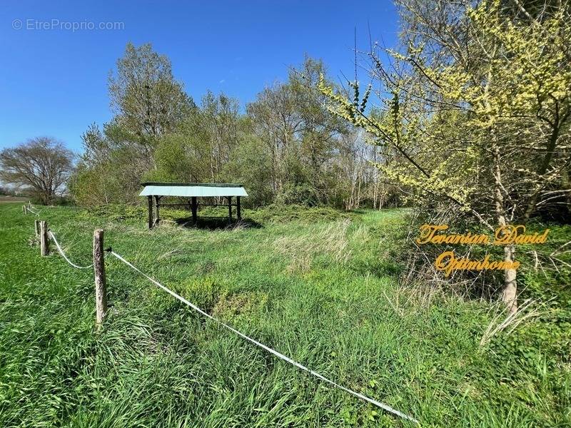 Terrain à SELLES-SUR-CHER