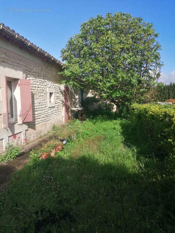 Maison à MONTIGNAC-LE-COQ