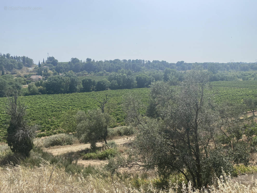 Terrain à RIEUX-MINERVOIS