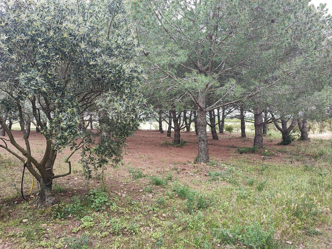 Maison à LAURE-MINERVOIS