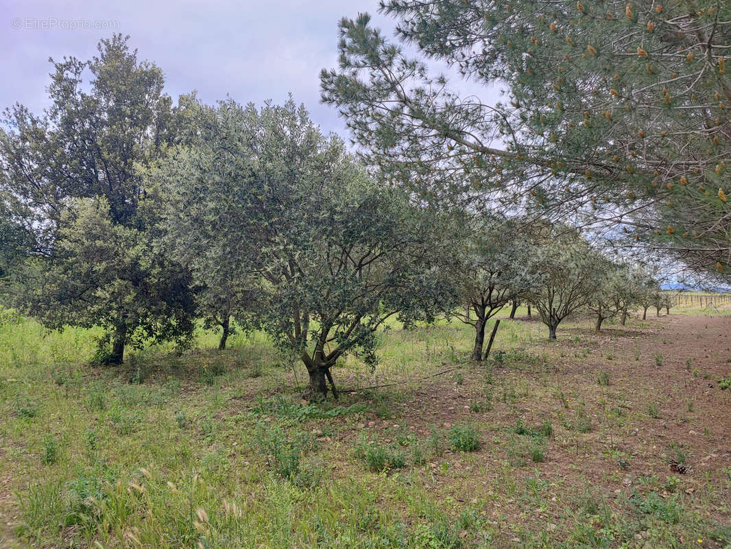 Maison à LAURE-MINERVOIS