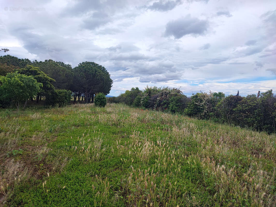 Maison à LAURE-MINERVOIS