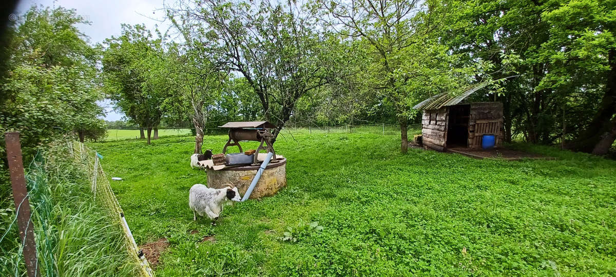 Maison à COUZON